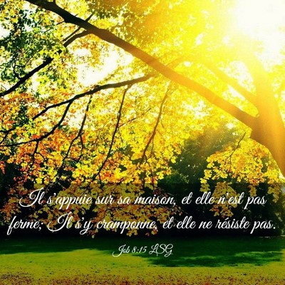 Picture 03 - Job 8:15 LSG - Il s'appuie sur sa maison, et elle n'est pas - Bible Verse Picture