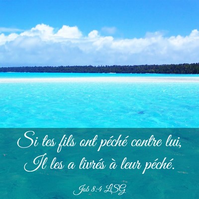 Picture 03 - Job 8:4 LSG - Si tes fils ont péché contre lui, Il les a - Bible Verse Picture