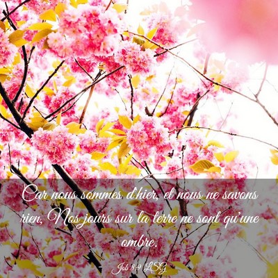 Picture 03 - Job 8:9 LSG - Car nous sommes d'hier, et nous ne savons rien, - Bible Verse Picture
