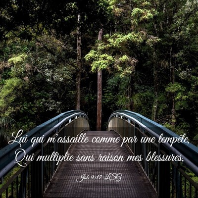 Picture 03 - Job 9:17 LSG - Lui qui m'assaille comme par une tempête, Qui - Bible Verse Picture