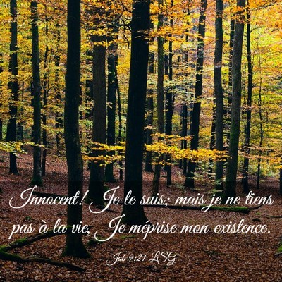 Picture 03 - Job 9:21 LSG - Innocent! Je le suis; mais je ne tiens pas à la - Bible Verse Picture