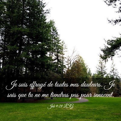 Picture 03 - Job 9:28 LSG - Je suis effrayé de toutes mes douleurs. Je sais - Bible Verse Picture