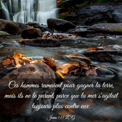Picture 03 - Jonas 1:13 LSG - Ces hommes ramaient pour gagner la terre, mais - Bible Verse Picture