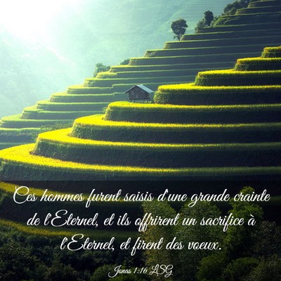 Picture 03 - Jonas 1:16 LSG - Ces hommes furent saisis d'une grande crainte de - Bible Verse Picture
