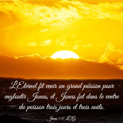 Picture 03 - Jonas 1:17 LSG - L'Eternel fit venir un grand poisson pour - Bible Verse Picture