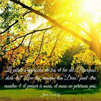 Picture 03 - Jonas 1:6 LSG - Le pilote s'approcha de lui, et lui dit: Pourquoi - Bible Verse Picture