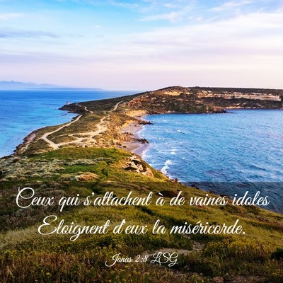 Picture 03 - Jonas 2:8 LSG - Ceux qui s'attachent à de vaines idoles - Bible Verse Picture