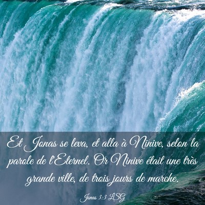 Picture 03 - Jonas 3:3 LSG - Et Jonas se leva, et alla à Ninive, selon la - Bible Verse Picture