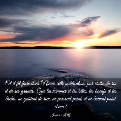 Picture 03 - Jonas 3:7 LSG - Et il fit faire dans Ninive cette publication, - Bible Verse Picture