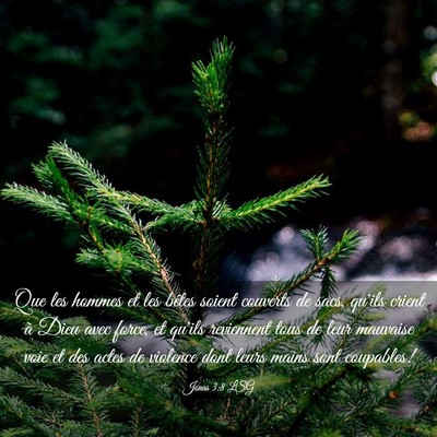 Picture 03 - Jonas 3:8 LSG - Que les hommes et les bêtes soient couverts de - Bible Verse Picture
