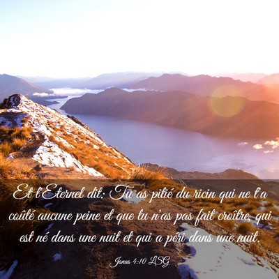 Picture 03 - Jonas 4:10 LSG - Et l'Eternel dit: Tu as pitié du ricin qui ne - Bible Verse Picture