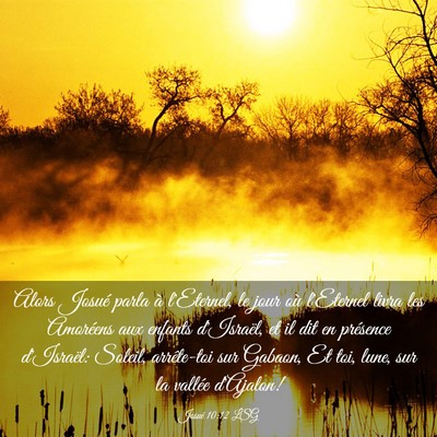 Picture 03 - Josué 10:12 LSG - Alors Josué parla à l'Eternel, le jour où - Bible Verse Picture