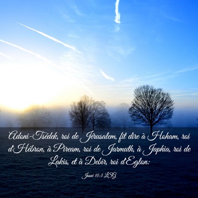Picture 03 - Josué 10:3 LSG - Adoni-Tsédek, roi de Jérusalem, fit dire à - Bible Verse Picture