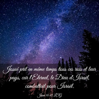 Picture 03 - Josué 10:42 LSG - Josué prit en même temps tous ces rois et leur - Bible Verse Picture