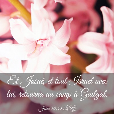 Picture 03 - Josué 10:43 LSG - Et Josué, et tout Israël avec lui, retourna au - Bible Verse Picture
