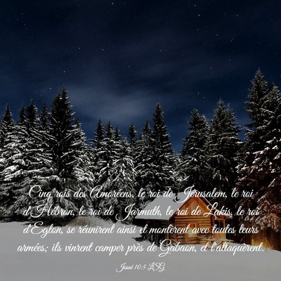 Picture 03 - Josué 10:5 LSG - Cinq rois des Amoréens, le roi de Jérusalem, le - Bible Verse Picture