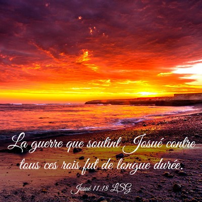 Picture 03 - Josué 11:18 LSG - La guerre que soutint Josué contre tous ces rois - Bible Verse Picture