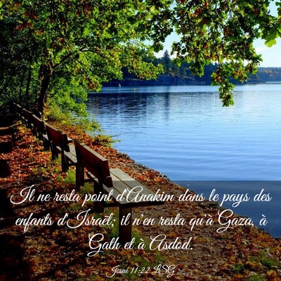 Picture 03 - Josué 11:22 LSG - Il ne resta point d'Anakim dans le pays des - Bible Verse Picture