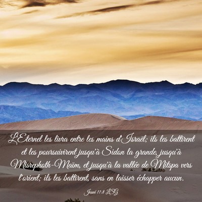 Picture 03 - Josué 11:8 LSG - L'Eternel les livra entre les mains d'Israël; - Bible Verse Picture