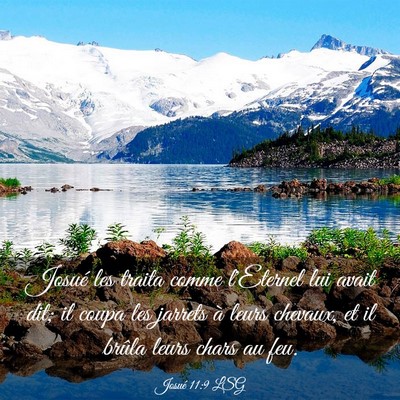 Picture 03 - Josué 11:9 LSG - Josué les traita comme l'Eternel lui avait dit; - Bible Verse Picture