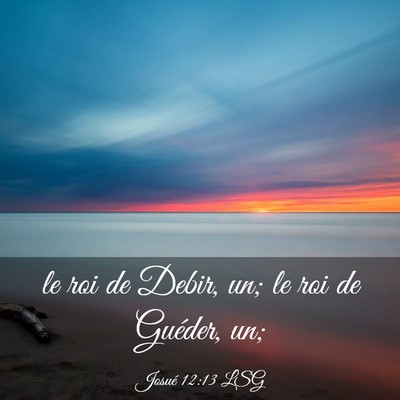 Picture 03 - Josué 12:13 LSG - le roi de Debir, un; le roi de Guéder, - Bible Verse Picture