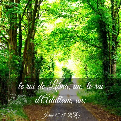 Picture 03 - Josué 12:15 LSG - le roi de Libna, un; le roi d'Adullam, - Bible Verse Picture