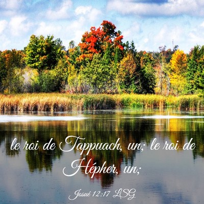 Picture 03 - Josué 12:17 LSG - le roi de Tappuach, un; le roi de Hépher, - Bible Verse Picture