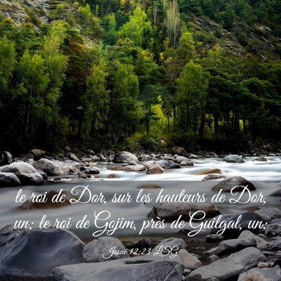 Picture 03 - Josué 12:23 LSG - le roi de Dor, sur les hauteurs de Dor, un; le - Bible Verse Picture