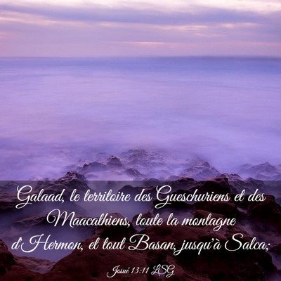 Picture 03 - Josué 13:11 LSG - Galaad, le territoire des Gueschuriens et des - Bible Verse Picture