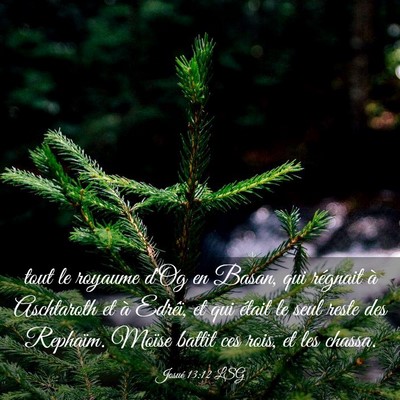 Picture 03 - Josué 13:12 LSG - tout le royaume d'Og en Basan, qui régnait à - Bible Verse Picture