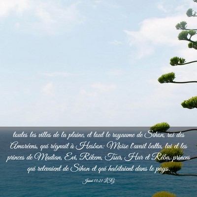 Picture 03 - Josué 13:21 LSG - toutes les villes de la plaine, et tout le - Bible Verse Picture