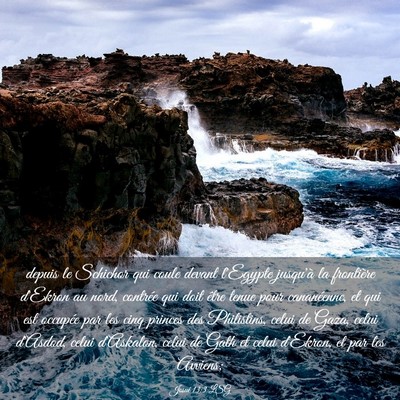 Picture 03 - Josué 13:3 LSG - depuis le Schichor qui coule devant l'Egypte - Bible Verse Picture