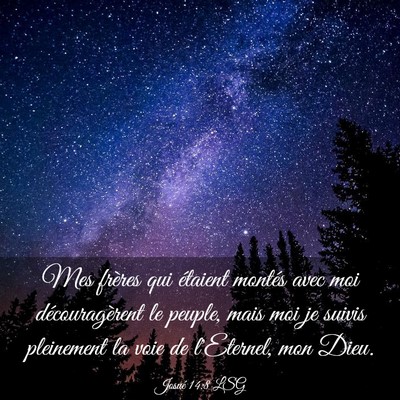 Picture 03 - Josué 14:8 LSG - Mes frères qui étaient montés avec moi - Bible Verse Picture