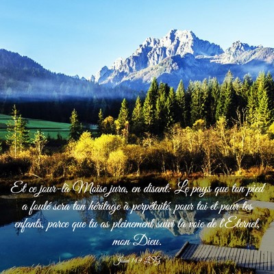 Picture 03 - Josué 14:9 LSG - Et ce jour-là Moïse jura, en disant: Le pays - Bible Verse Picture