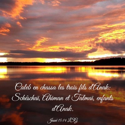 Picture 03 - Josué 15:14 LSG - Caleb en chassa les trois fils d'Anak: - Bible Verse Picture