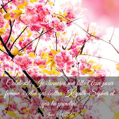 Picture 03 - Josué 15:16 LSG - Caleb dit: Je donnerai ma fille Acsa pour femme - Bible Verse Picture
