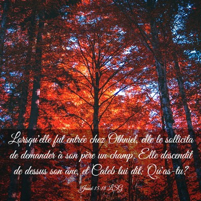 Picture 03 - Josué 15:18 LSG - Lorsqu'elle fut entrée chez Othniel, elle le - Bible Verse Picture