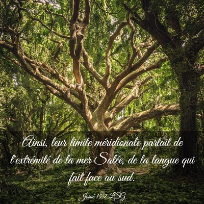 Picture 03 - Josué 15:2 LSG - Ainsi, leur limite méridionale partait de - Bible Verse Picture