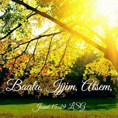 Picture 03 - Josué 15:29 LSG - Baala, Ijjim, - Bible Verse Picture