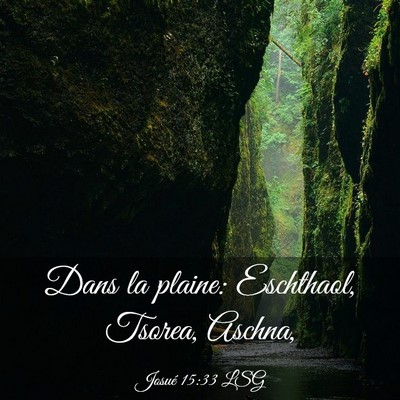 Picture 03 - Josué 15:33 LSG - Dans la plaine: Eschthaol, Tsorea, - Bible Verse Picture