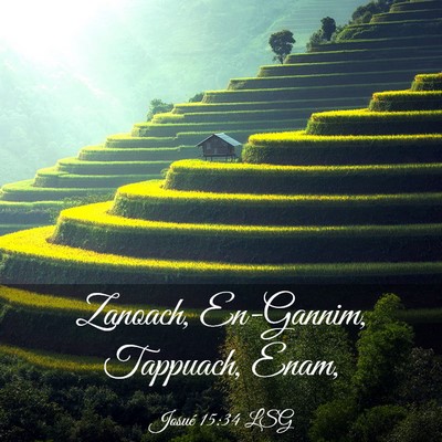 Picture 03 - Josué 15:34 LSG - Zanoach, En-Gannim, Tappuach, - Bible Verse Picture