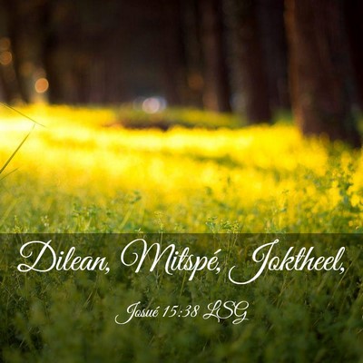 Picture 03 - Josué 15:38 LSG - Dilean, Mitspé, - Bible Verse Picture