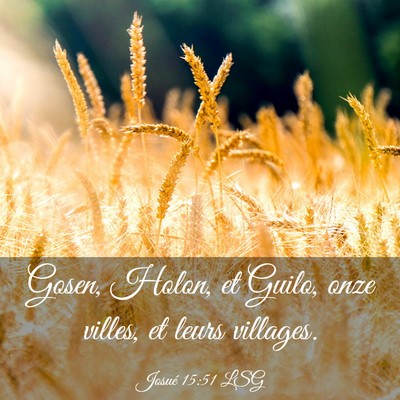 Picture 03 - Josué 15:51 LSG - Gosen, Holon, et Guilo, onze villes, et leurs - Bible Verse Picture