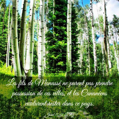 Picture 03 - Josué 17:12 LSG - Les fils de Manassé ne purent pas prendre - Bible Verse Picture