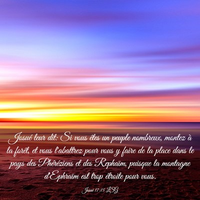 Picture 03 - Josué 17:15 LSG - Josué leur dit: Si vous êtes un peuple - Bible Verse Picture