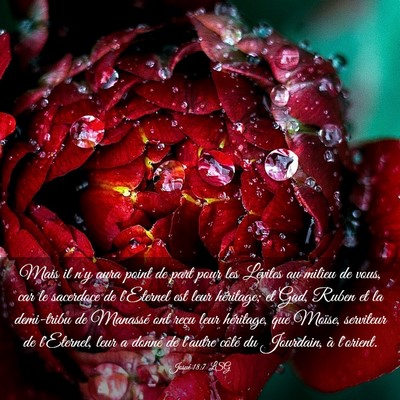 Picture 03 - Josué 18:7 LSG - Mais il n'y aura point de part pour les Lévites - Bible Verse Picture