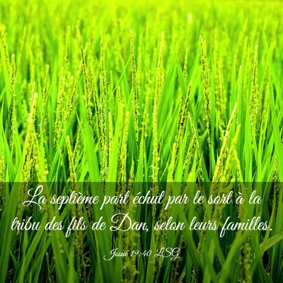 Picture 03 - Josué 19:40 LSG - La septième part échut par le sort à la tribu - Bible Verse Picture