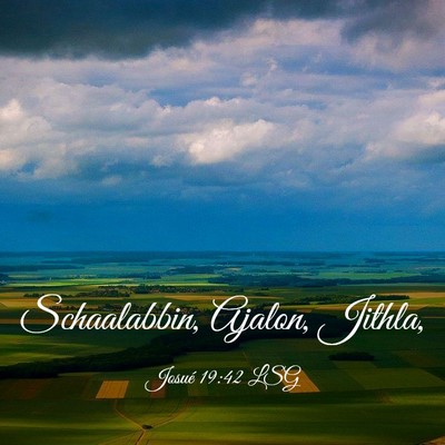 Picture 03 - Josué 19:42 LSG - Schaalabbin, Ajalon, - Bible Verse Picture
