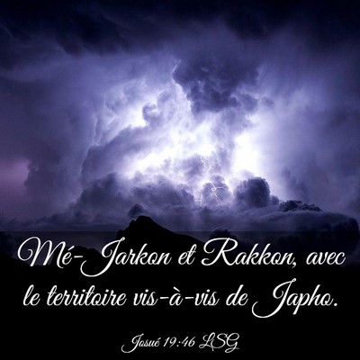 Picture 03 - Josué 19:46 LSG - Mé-Jarkon et Rakkon, avec le territoire - Bible Verse Picture