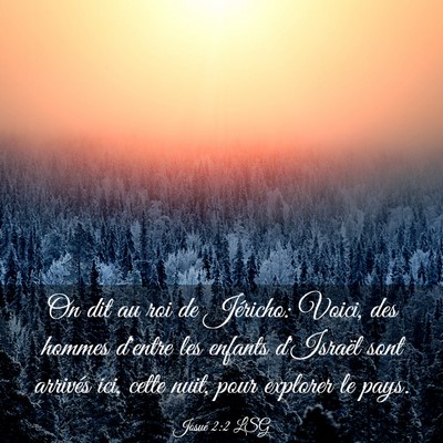 Picture 03 - Josué 2:2 LSG - On dit au roi de Jéricho: Voici, des hommes - Bible Verse Picture